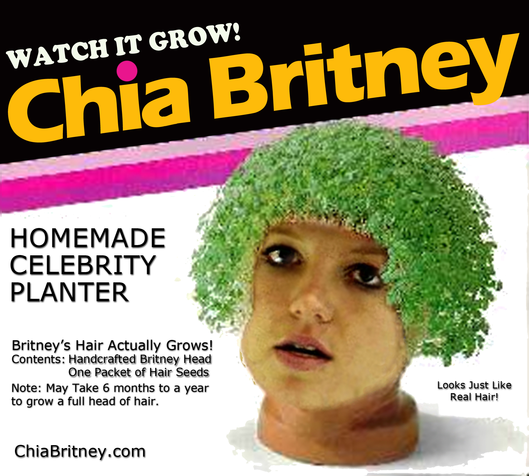 chia-britney.jpg