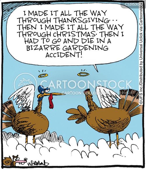 animals-thanksgiving-turkeys-turkey_dinners-roast_dinner-thanksgiving_dinner-dwh111227_low.jpg