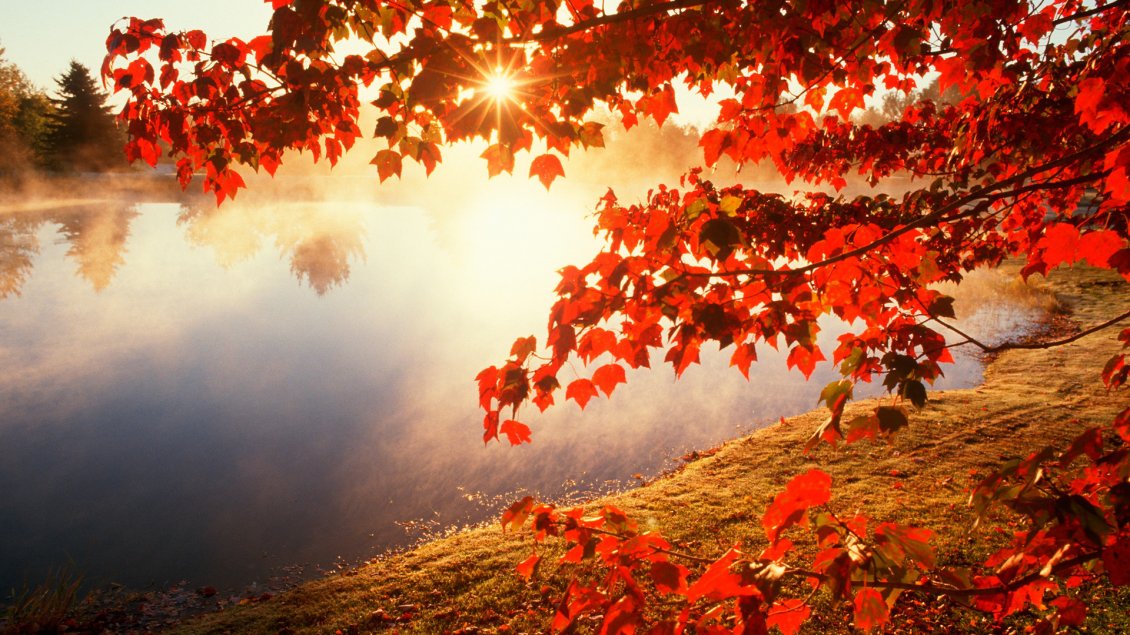 11157_Good-morning-Autumn-sunlight-HD-wallpaper.jpg