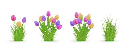 spring-floral-tulip-grass-bundles-different-widths-set-fresh-colorful-flowers-green-herb-isolated-white-background-123479808.jpg