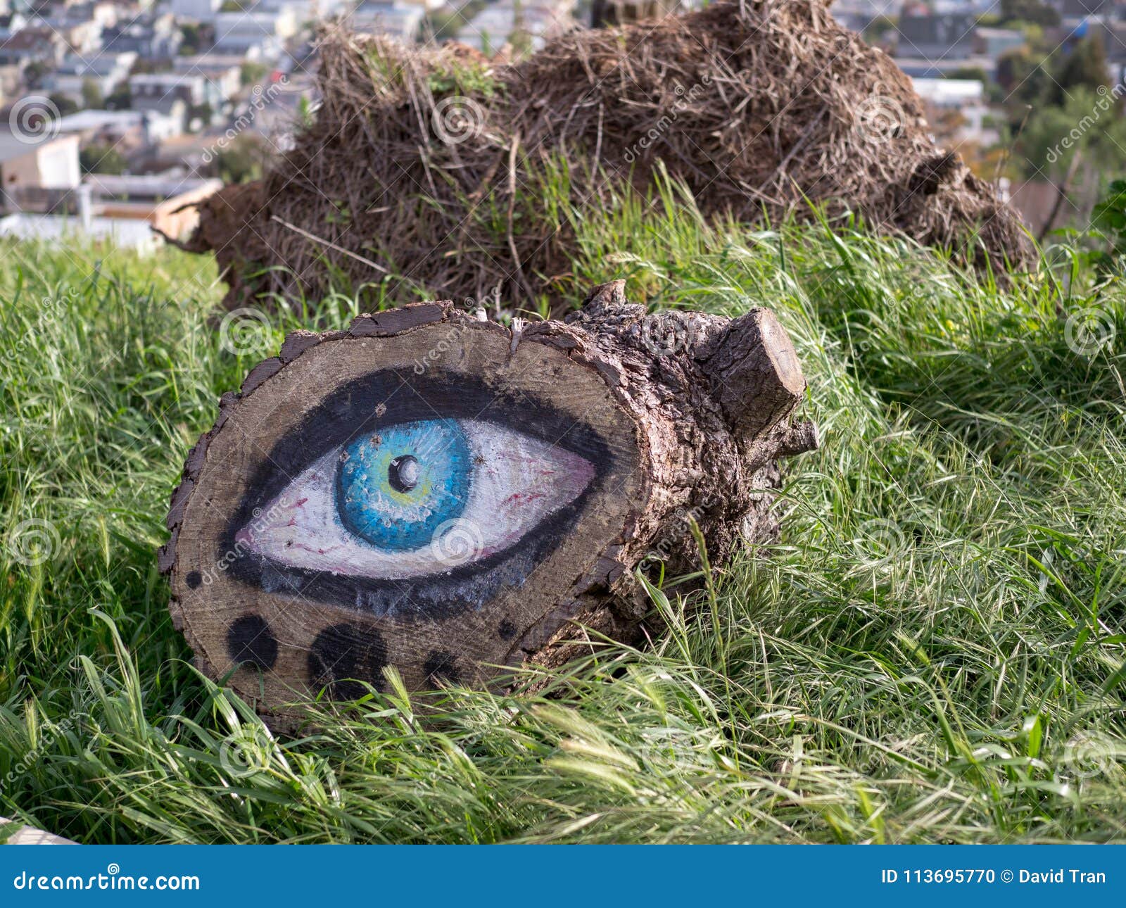 tree-stump-eye-artwork-painted-park-outdoors-tree-stump-eye-artwork-painted-113695770.jpg