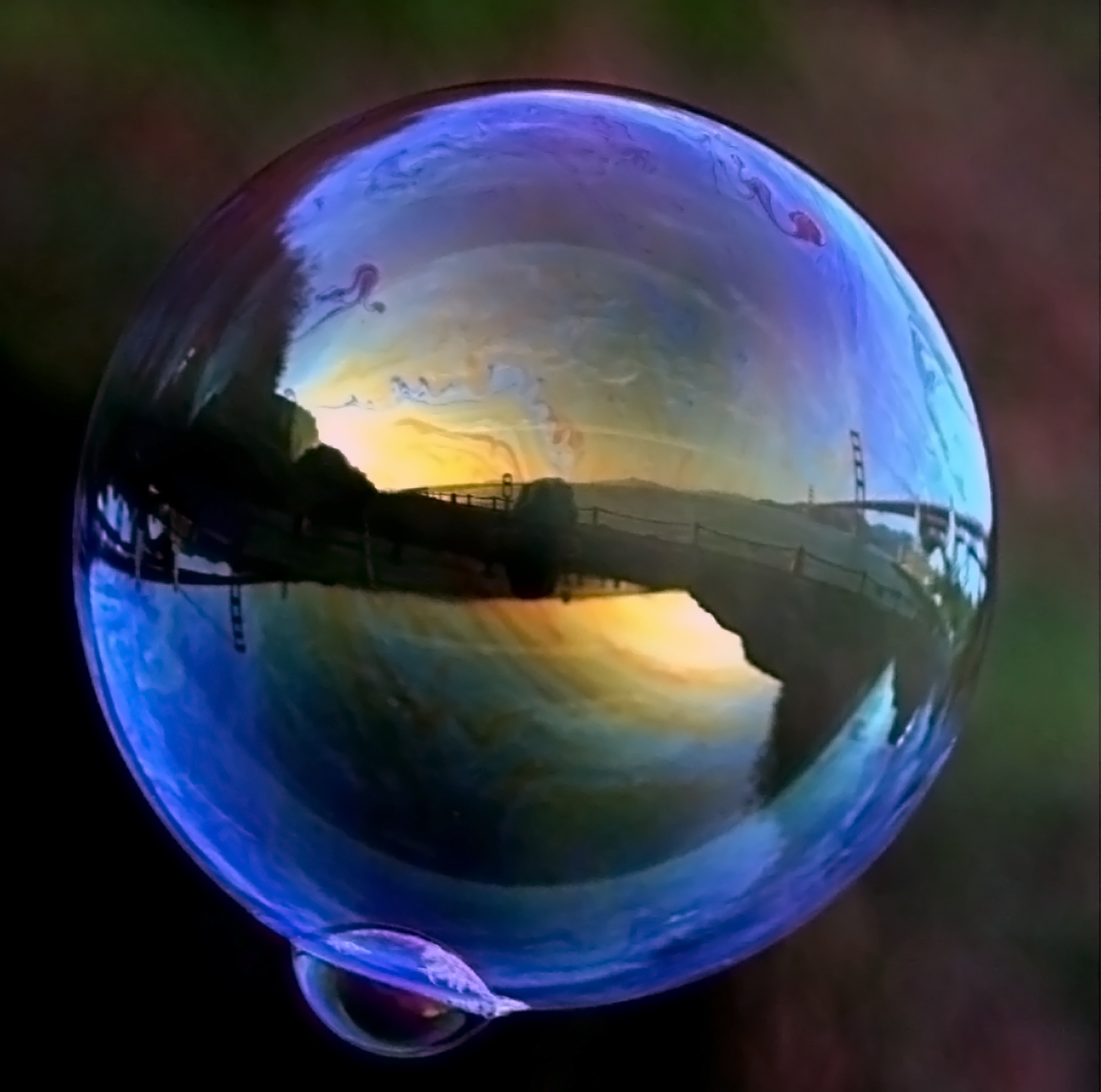 Ggb_in_soap_bubble_1.jpg