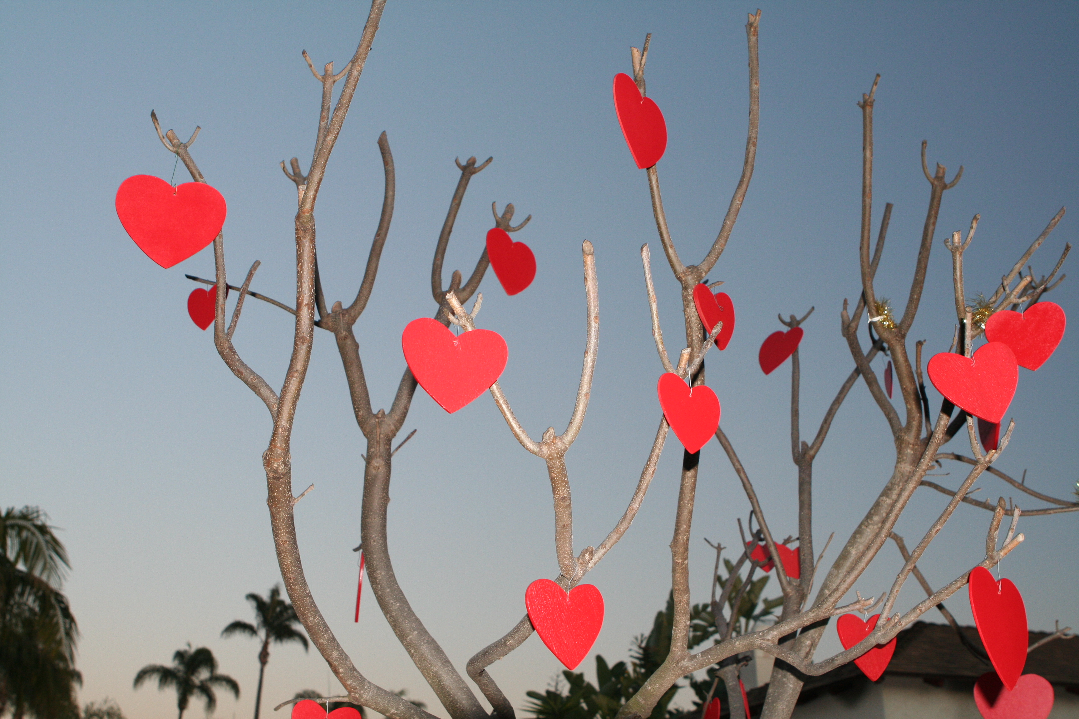 Valentinesdaytree.jpg