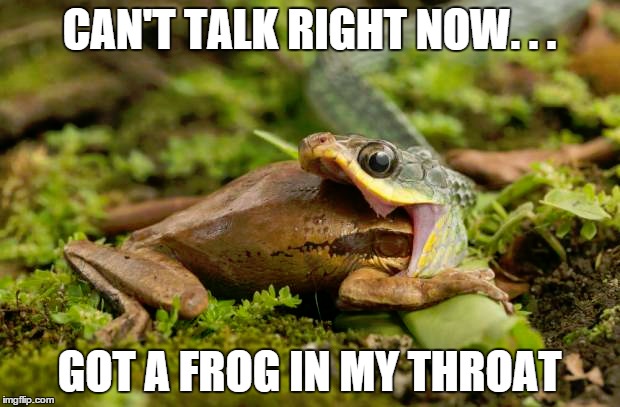 Cant-Talk-Right-Now-got-A-Frog-In-My-Throat-Funny-Snake-Meme.jpg