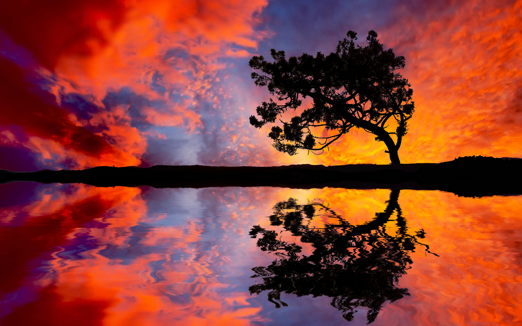 colorful_sunset_sky_and_tree-wide.jpg