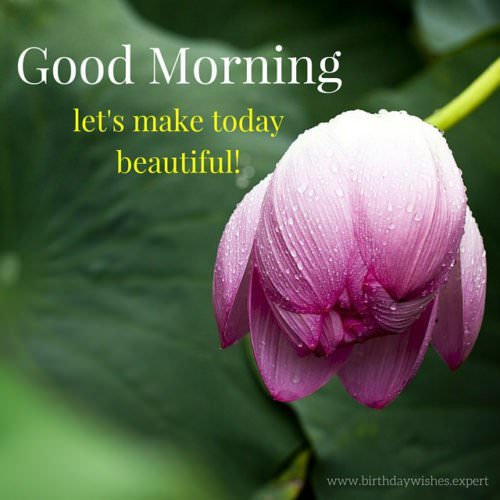 Good-morning.-Lets-make-today-beautiful.-With-lotus-flower-image-500x500.jpg