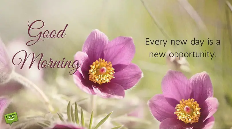 Every-new-day-is-a-new-opportunity.-Good-Morning..jpg