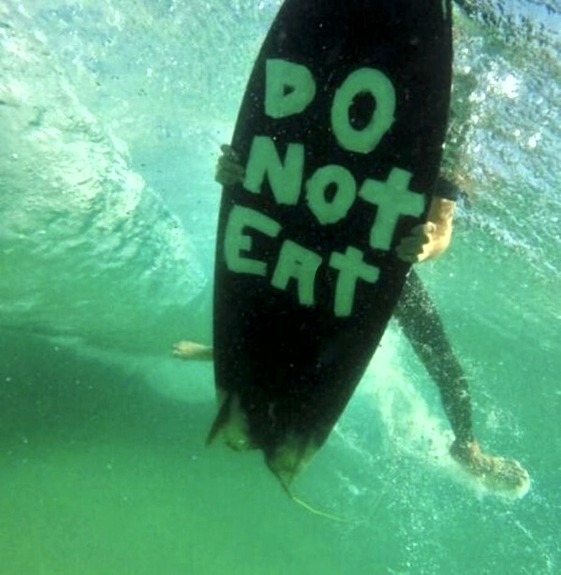 do-not-eat-surfboard.jpg