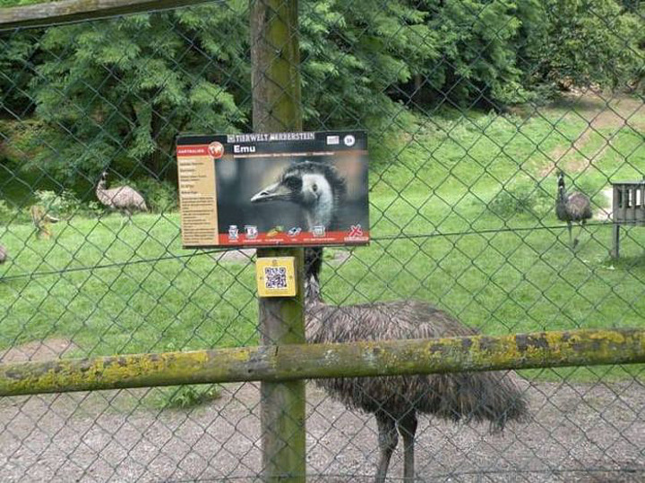 emu-behind-sign.jpg