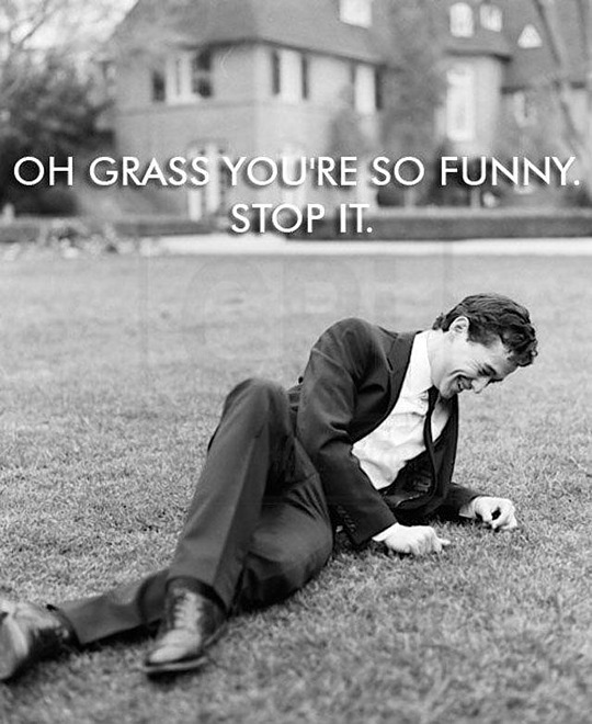 oh-grass-you-so-funny.jpg