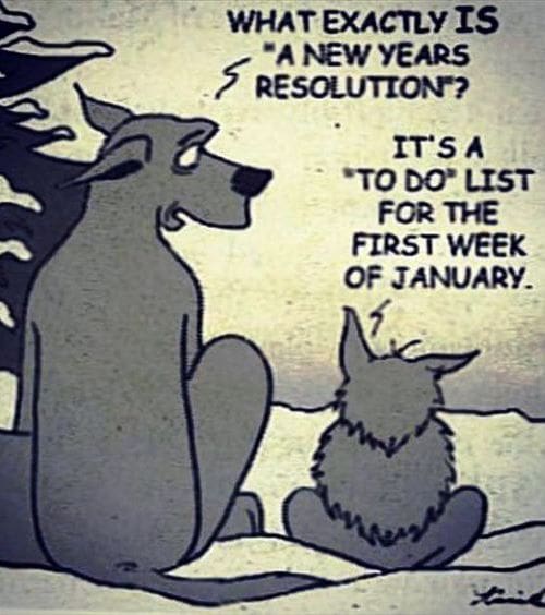 new-year-resolution-meme-january.jpg