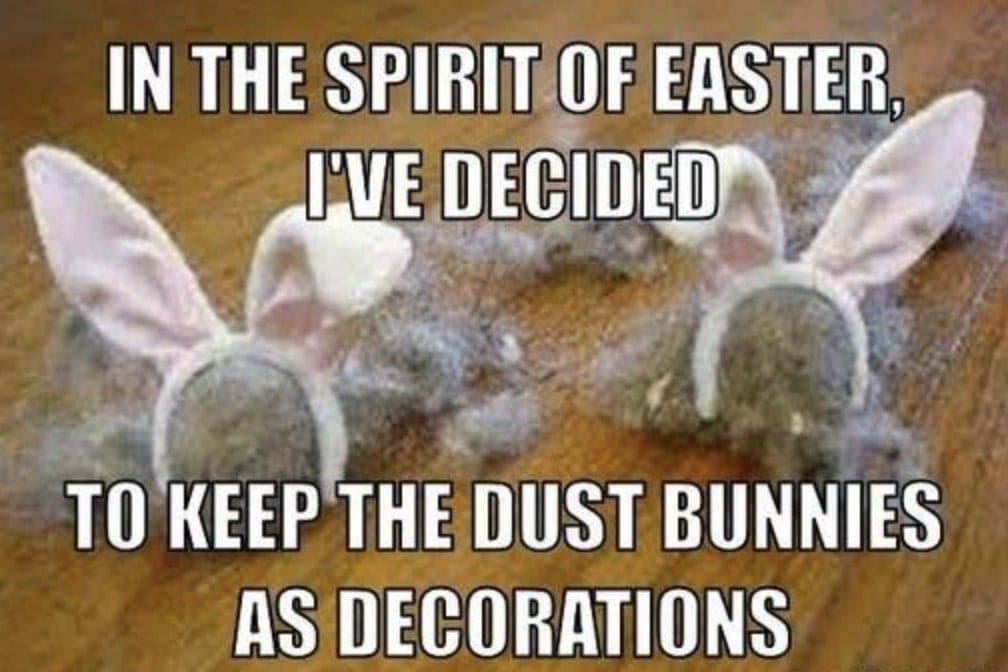 dust-bunnies-easter-meme.jpg