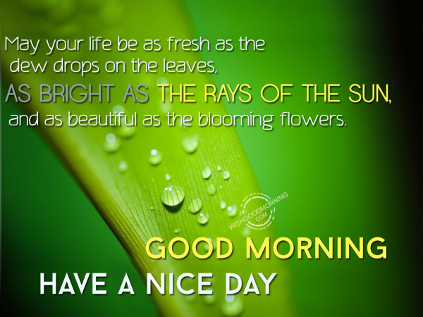 May-your-life-be-as-fresh-as-the-dew-drops-on-the-leaves-600x450.jpg